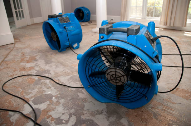 Best 24-hour water damage restoration  in Lanett, AL