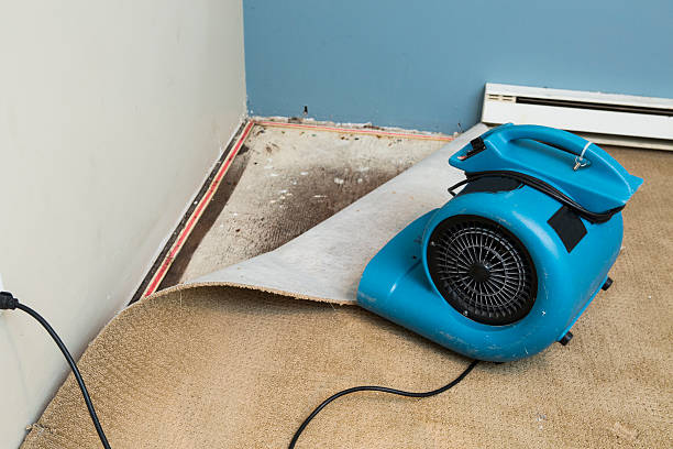 Best Ceiling water damage repair  in Lanett, AL